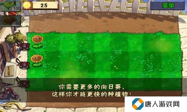 原版植物大战僵尸