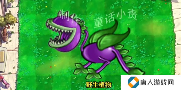 植物大战僵尸结合版