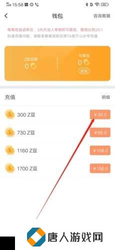 择TA怎么充值2