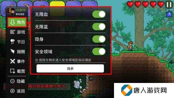 泰拉瑞亚1.4悬浮窗修改器有神器（TL Pro）下载