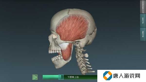 人体解剖学图谱解锁付费高级版下载
