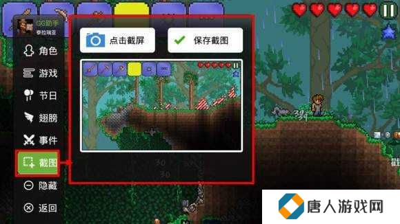 泰拉瑞亚1.4悬浮窗修改器有神器（TL Pro）下载