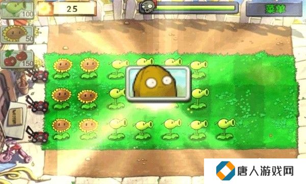 植物大战僵尸95版正版