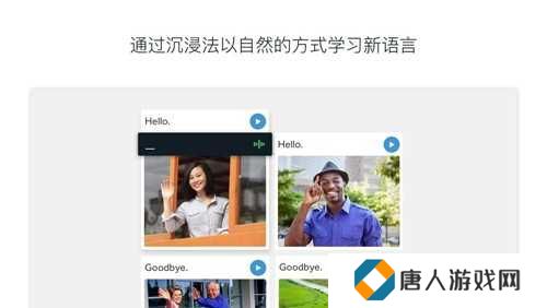 Rosetta Stone高级版下载